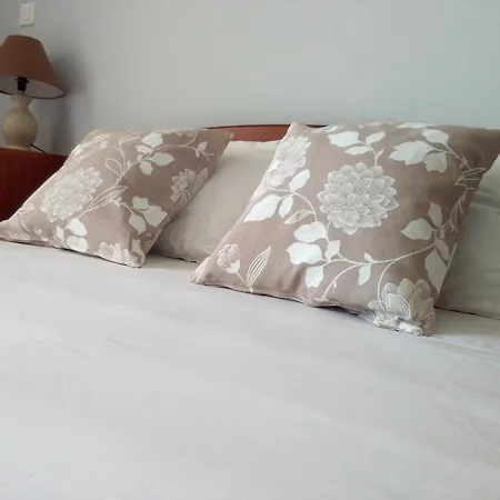 Irini Seaside Apartment Nikiana